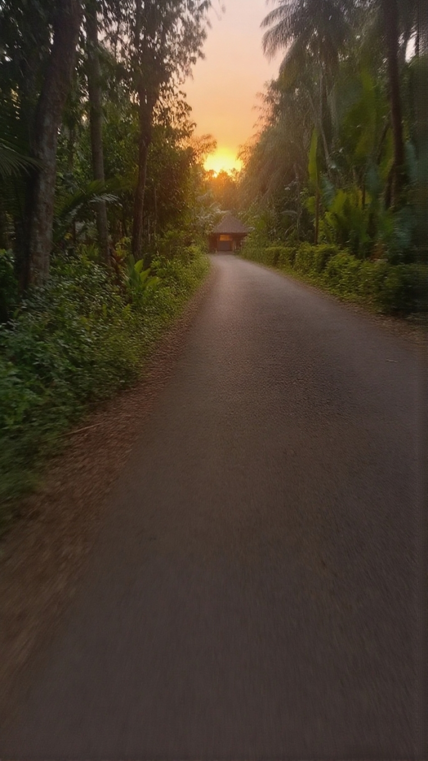 Pohon yang Lupa Akar  Sebuah Refleksi Krisis Kesadaran Asal-usul